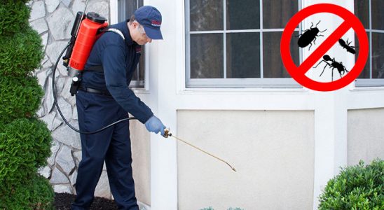 Refahiye Dezenfeksiyon böcek ilaçlama ve haşere kontrolü — ilaclama-tr.com